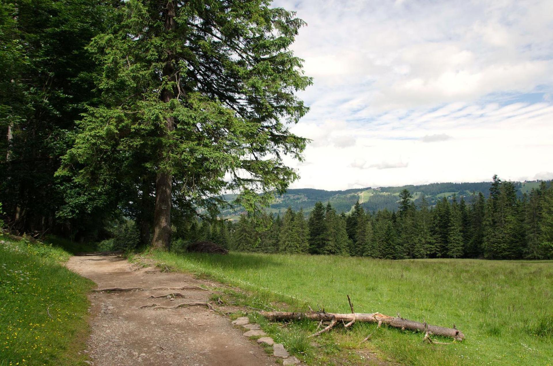 Domek alpejski Udanypobyt Sekret Zakopane
